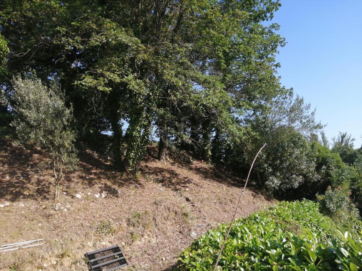 Chez Isabelle Homestay Saint-Paul-de-Vence